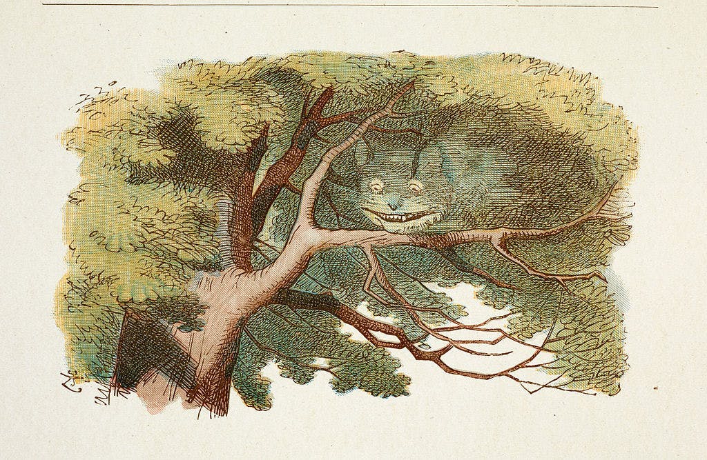 The face of a cat emerges from a treetop (Alice in Wonderland illustration by John Tenniel, via Wikimedia Commons)